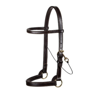 Victor Supreme Arabian Training Halter with Browband yearling