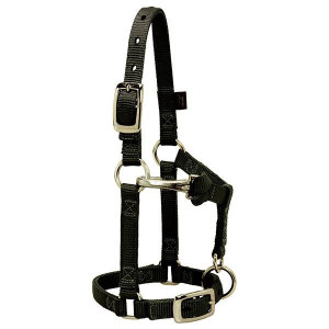 Weaver 5/8" Nylon Mini Horse Halter Black