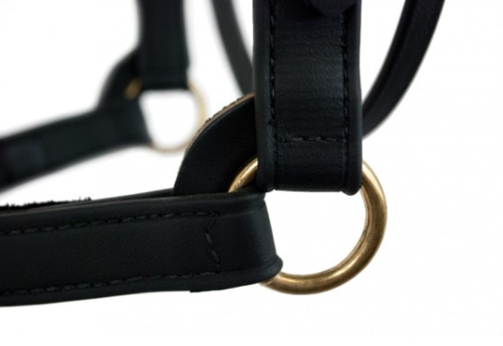 Faulkners- 1" Training Halter with Brow Band