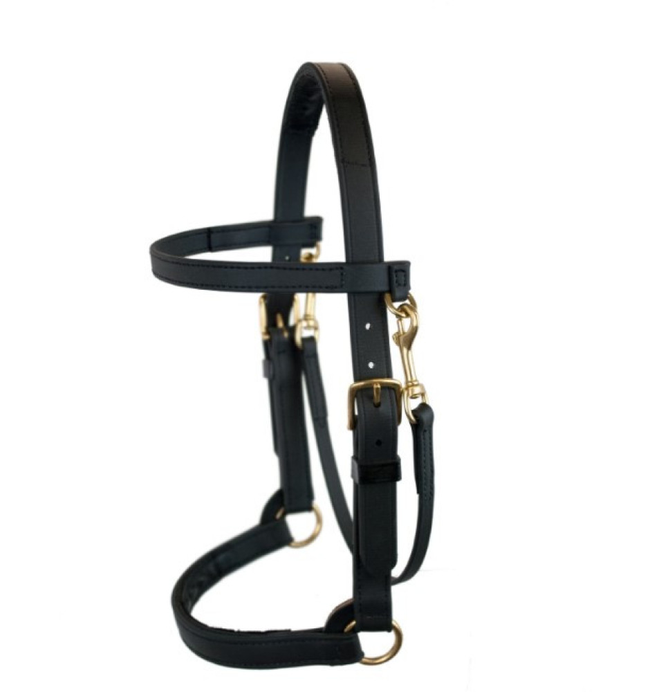 Faulkners- 1" Training Halter with Brow Band