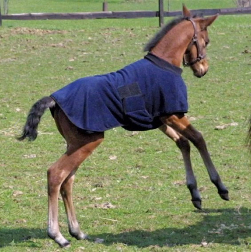 Dura-Tech® Fleece Foal Warmer