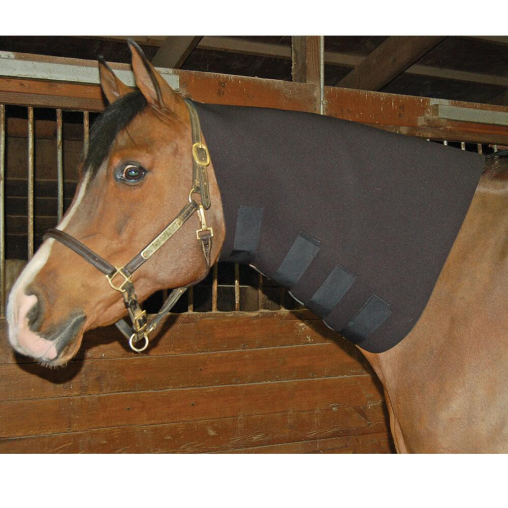 Big Dee Full Neck Sweat Neoprene yearling